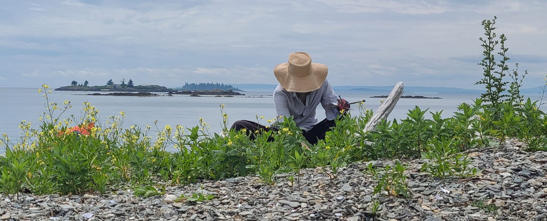 Painting on Great Spruce Head Island 